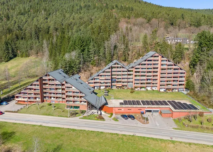 Tonbach 110, Schwimmbad, Sauna, Solarium, Balkon * Baiersbronn